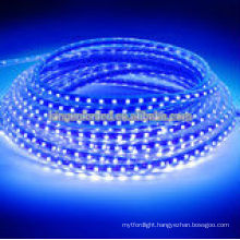 High quality 12V waterproof swimming pool led strip lighting